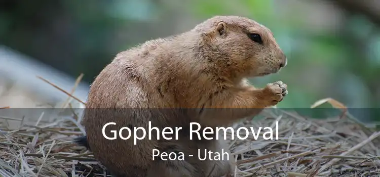 Gopher Removal Peoa - Utah