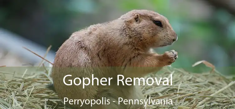 Gopher Removal Perryopolis - Pennsylvania