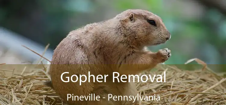 Gopher Removal Pineville - Pennsylvania