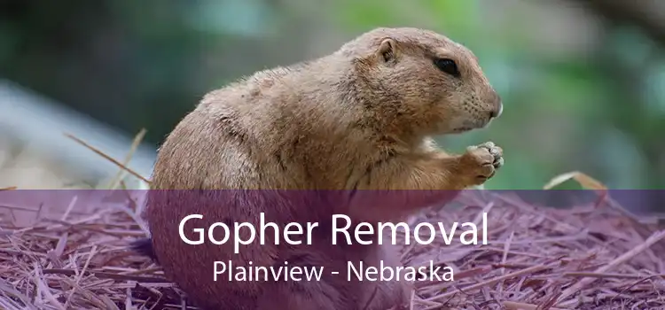 Gopher Removal Plainview - Nebraska