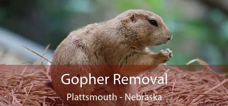 Gopher Removal Plattsmouth - Nebraska