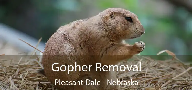 Gopher Removal Pleasant Dale - Nebraska