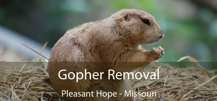 Gopher Removal Pleasant Hope - Missouri