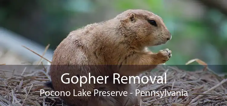 Gopher Removal Pocono Lake Preserve - Pennsylvania