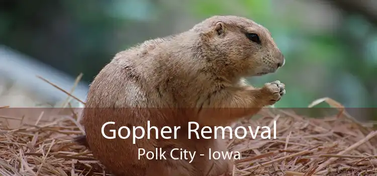 Gopher Removal Polk City - Iowa
