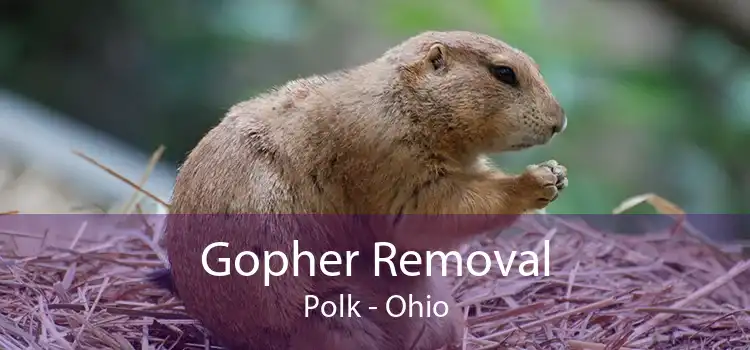 Gopher Removal Polk - Ohio