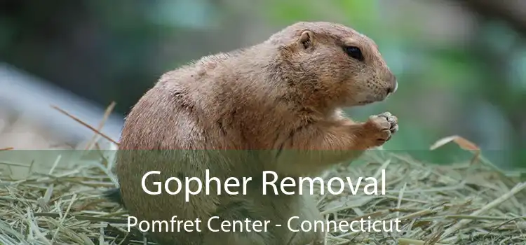 Gopher Removal Pomfret Center - Connecticut