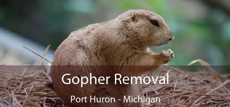 Gopher Removal Port Huron - Michigan