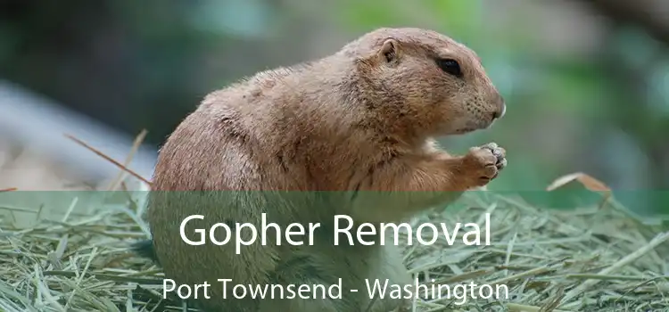 Gopher Removal Port Townsend - Washington