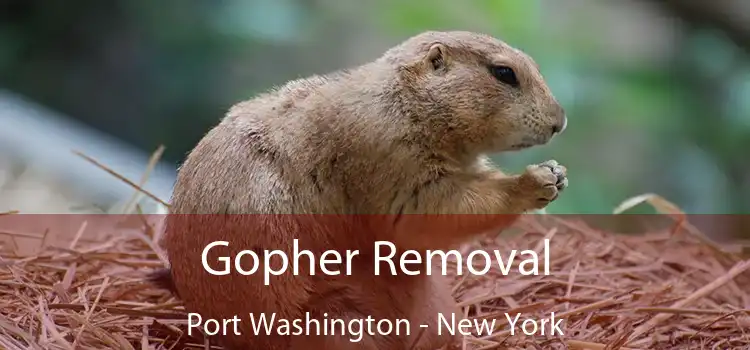 Gopher Removal Port Washington - New York