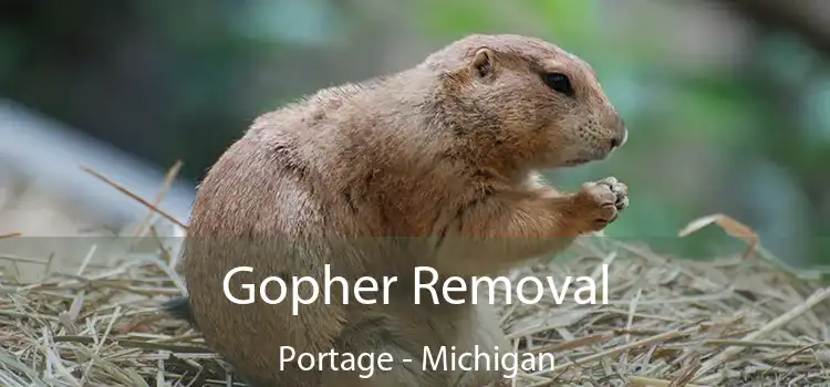 Gopher Removal Portage - Michigan