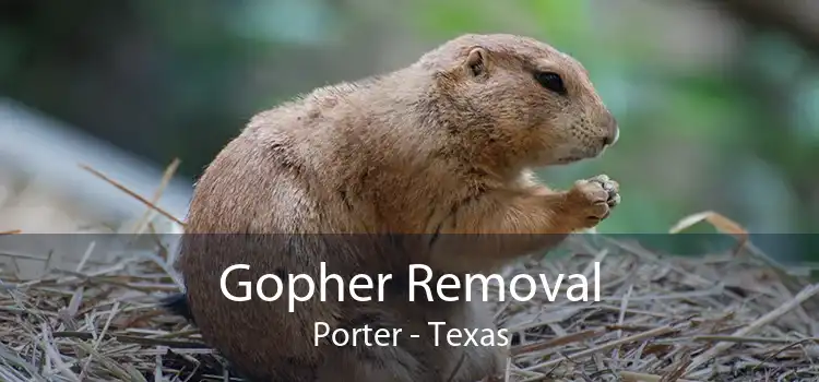 Gopher Removal Porter - Texas