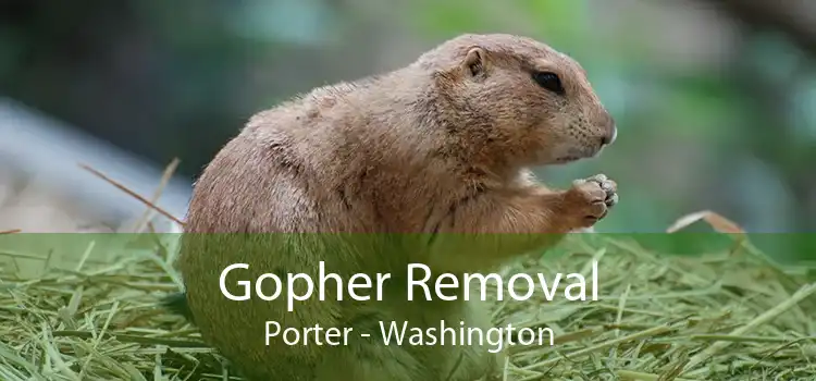 Gopher Removal Porter - Washington