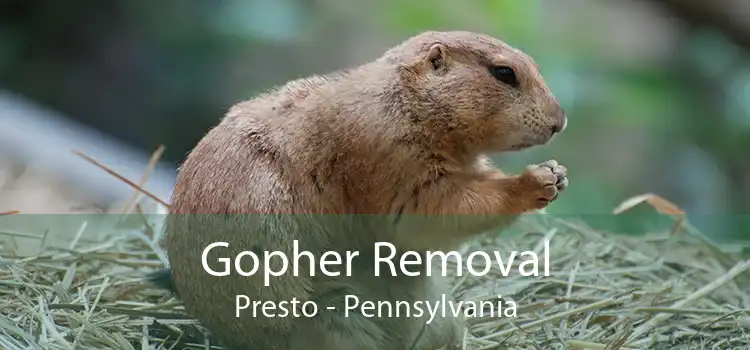Gopher Removal Presto - Pennsylvania