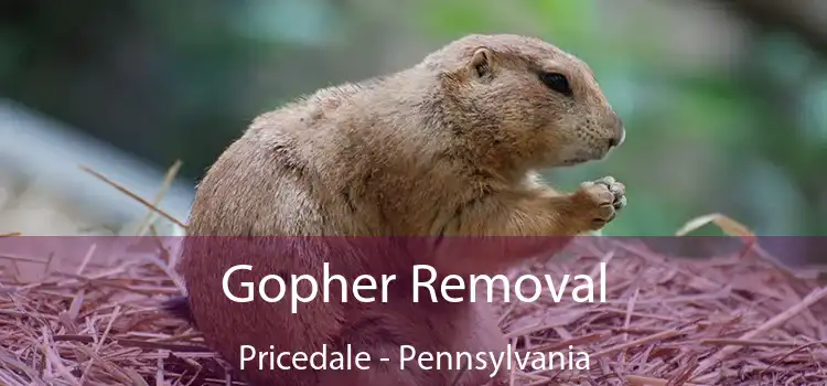 Gopher Removal Pricedale - Pennsylvania