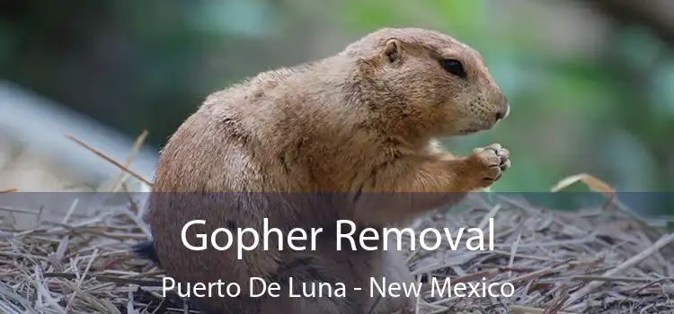 Gopher Removal Puerto De Luna - New Mexico