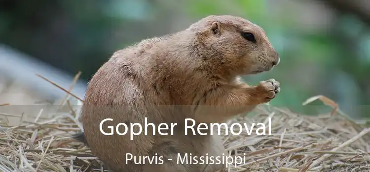 Gopher Removal Purvis - Mississippi