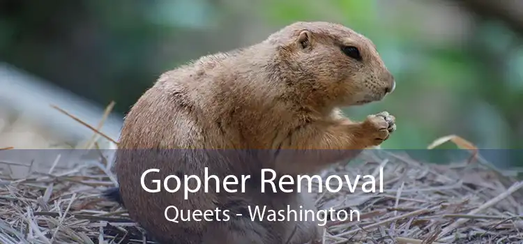Gopher Removal Queets - Washington