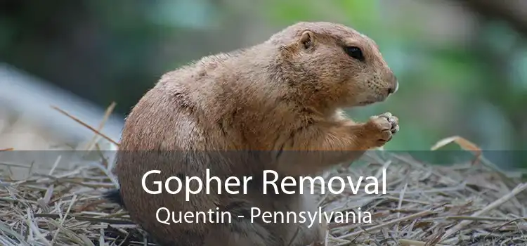 Gopher Removal Quentin - Pennsylvania