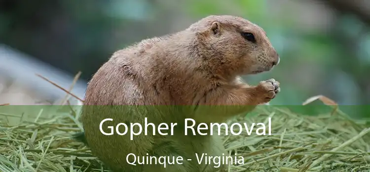 Gopher Removal Quinque - Virginia