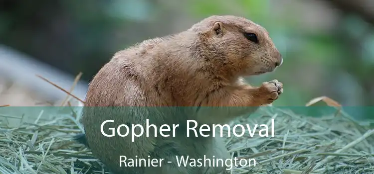 Gopher Removal Rainier - Washington