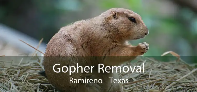 Gopher Removal Ramireno - Texas