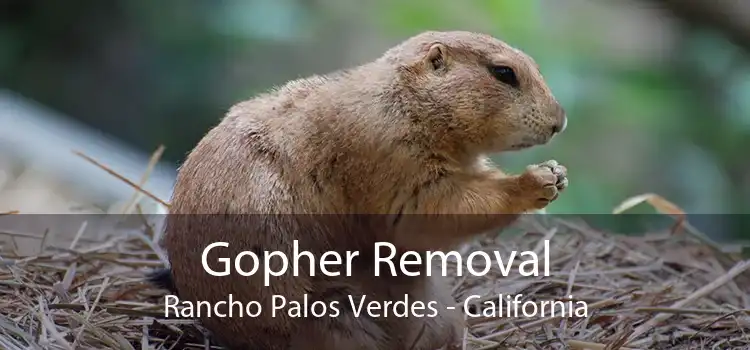 Gopher Removal Rancho Palos Verdes - California