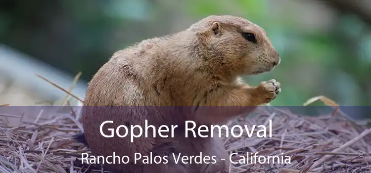 Gopher Removal Rancho Palos Verdes - California