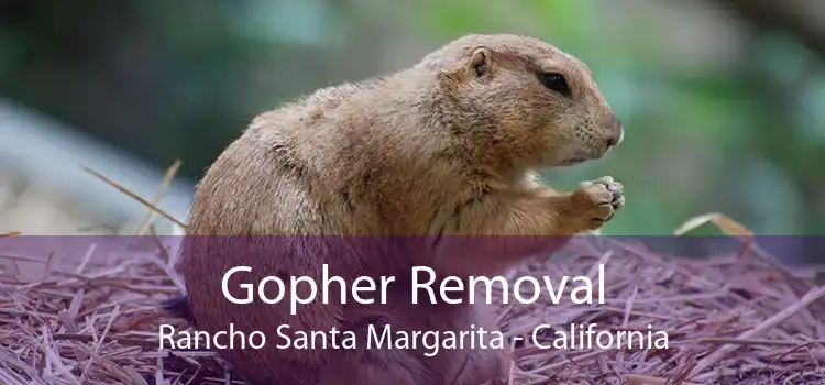 Gopher Removal Rancho Santa Margarita - California
