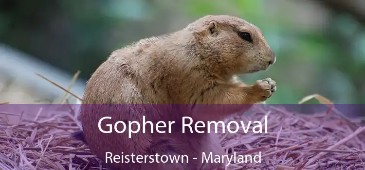 Gopher Removal Reisterstown - Maryland