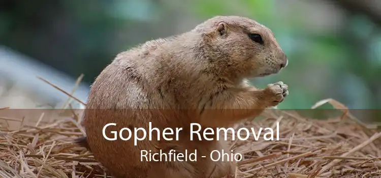 Gopher Removal Richfield - Ohio