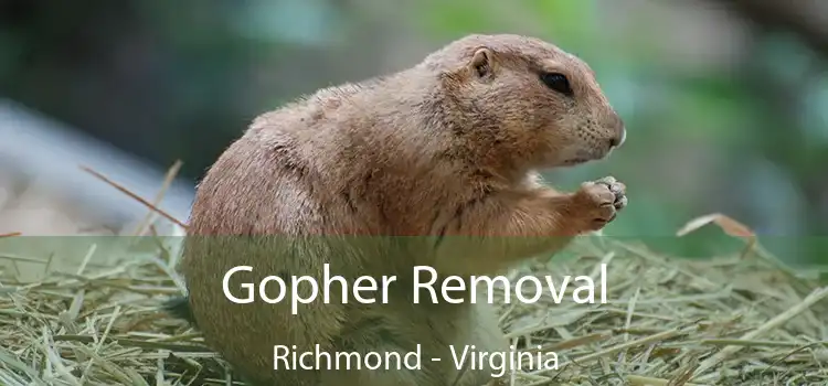 Gopher Removal Richmond - Virginia