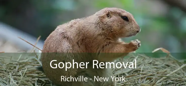 Gopher Removal Richville - New York