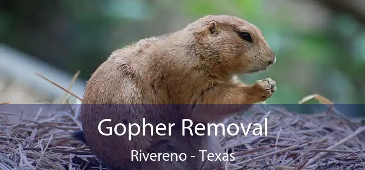 Gopher Removal Rivereno - Texas