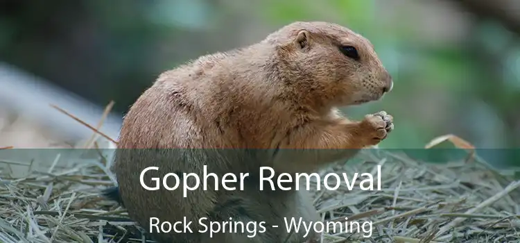 Gopher Removal Rock Springs - Wyoming