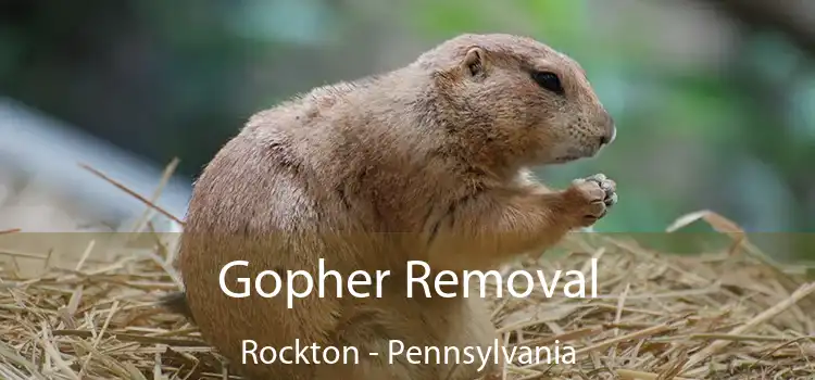 Gopher Removal Rockton - Pennsylvania