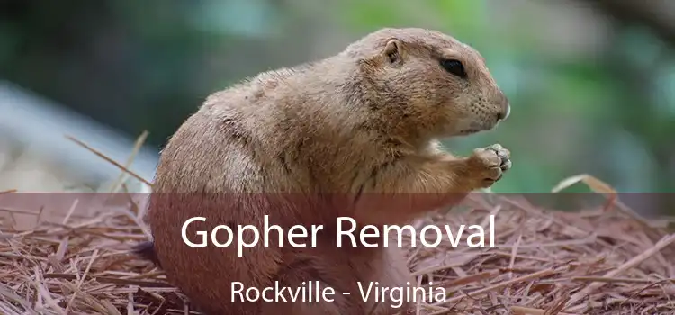 Gopher Removal Rockville - Virginia