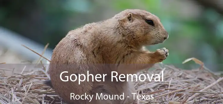Gopher Removal Rocky Mound - Texas