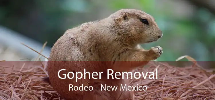 Gopher Removal Rodeo - New Mexico