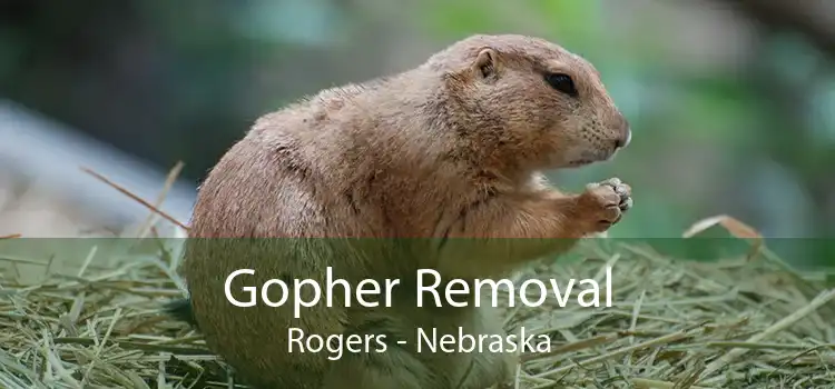 Gopher Removal Rogers - Nebraska