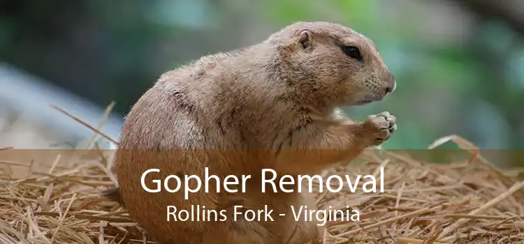 Gopher Removal Rollins Fork - Virginia