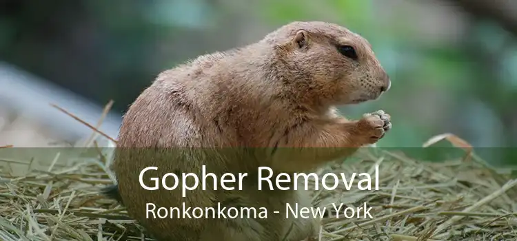 Gopher Removal Ronkonkoma - New York