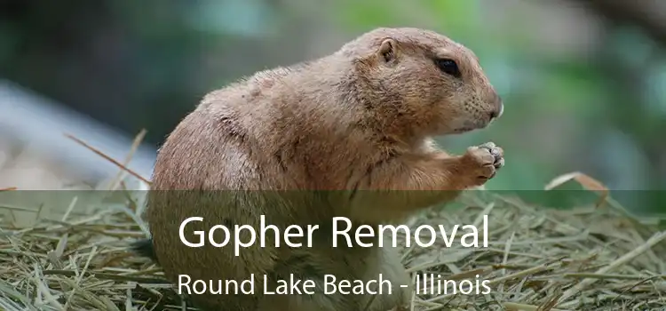 Gopher Removal Round Lake Beach - Illinois