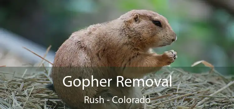 Gopher Removal Rush - Colorado