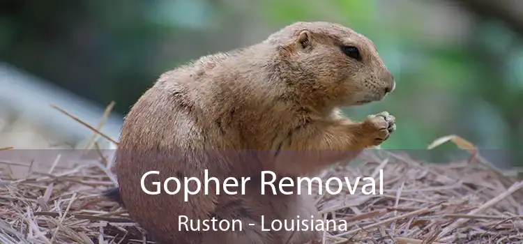 Gopher Removal Ruston - Louisiana