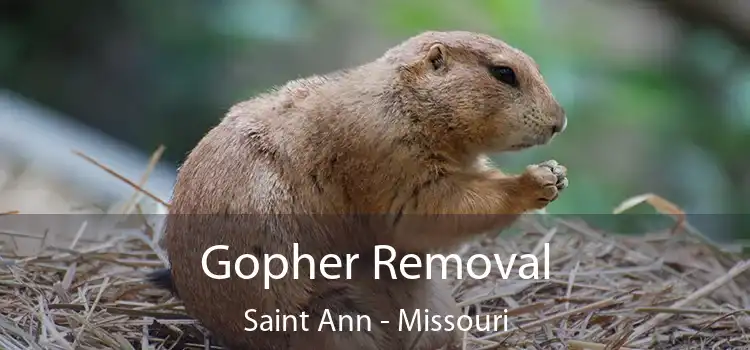 Gopher Removal Saint Ann - Missouri