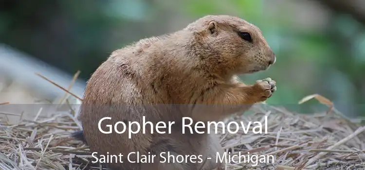 Gopher Removal Saint Clair Shores - Michigan