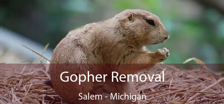 Gopher Removal Salem - Michigan