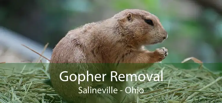 Gopher Removal Salineville - Ohio