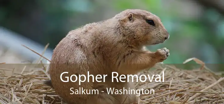 Gopher Removal Salkum - Washington